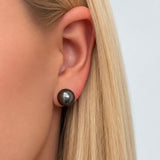 Tahitian Black Pearl Studs