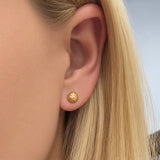 Fluted Studs