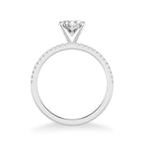 Classic Solitaire Engagement Ring with Diamond Shank