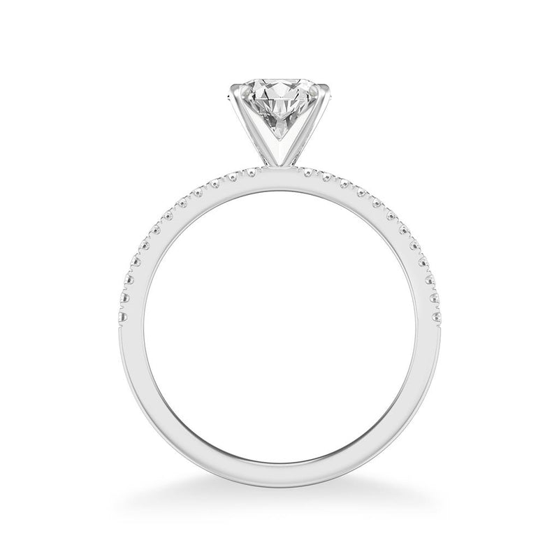 Classic Solitaire Engagement Ring with Diamond Shank